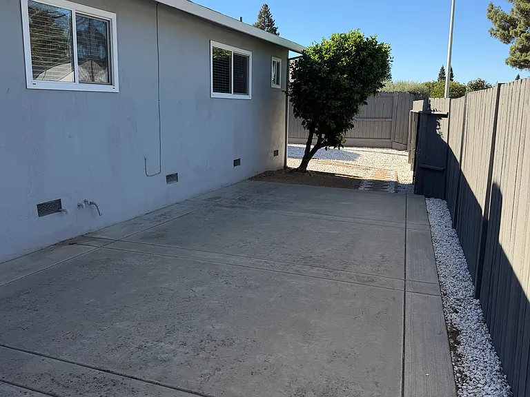 side yard concrete pad and lemon tree