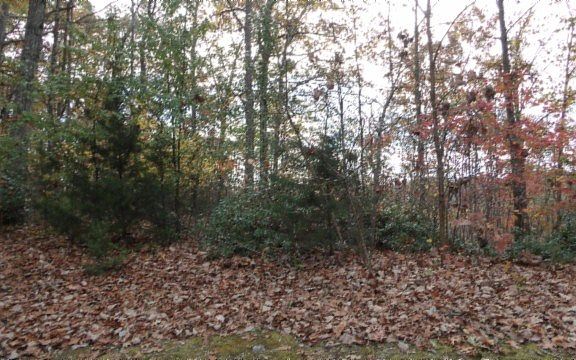 3rd image of LOT 349 Drew Ct