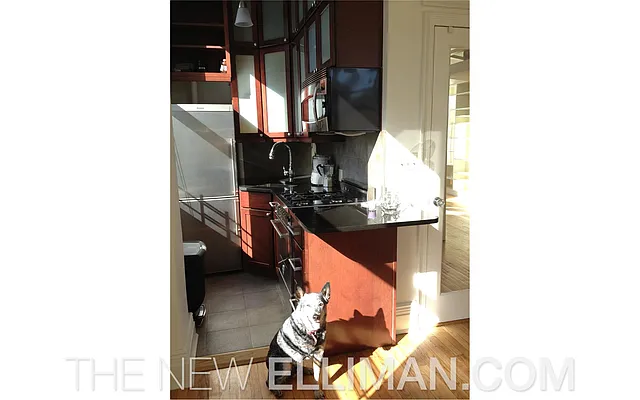 Rented by Douglas Elliman | media 7