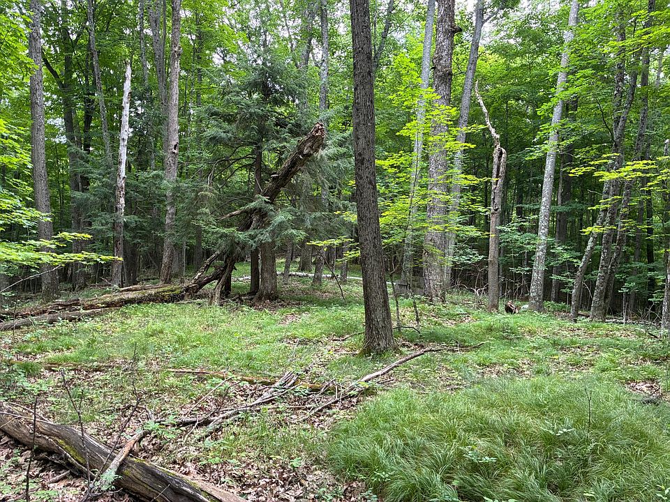 2nd image of 2217801 Grass Lake Rd