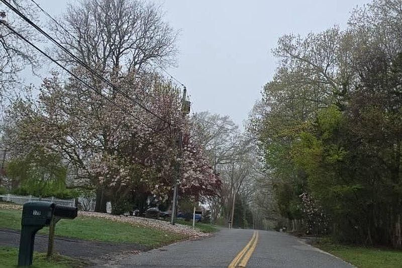 2nd image of 169 Northside Rd