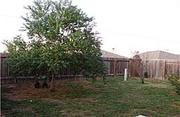 Large backyard for the kids to play and to entertain.