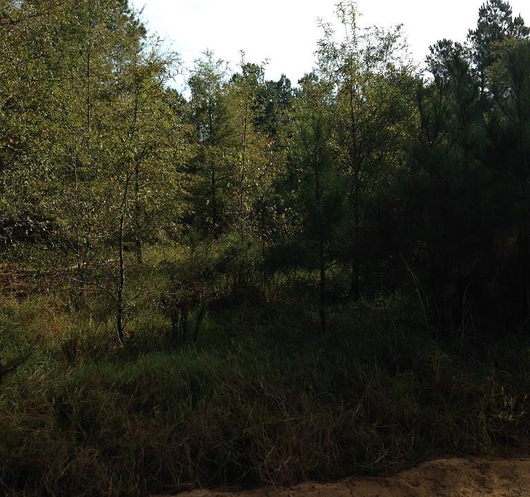 1st image of Pine Valley Dr E