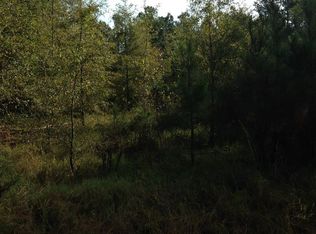 Pine Valley Dr E, Waynesboro, GA 30830