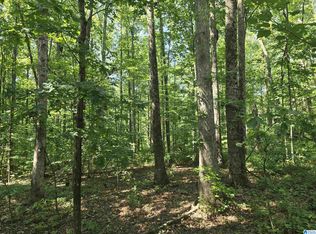 0 County Road 31 #40, Lineville, AL 36266