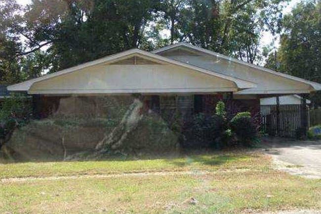 1st image of 713 Hortense St