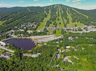 1 Pinnacle View Lane, Dover, VT 05356