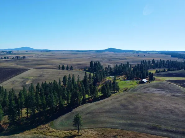 Herrick Rd, Craigmont, ID 83523