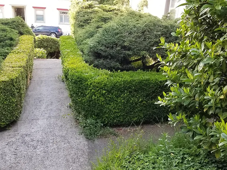 196 Orange St — Photo 2
