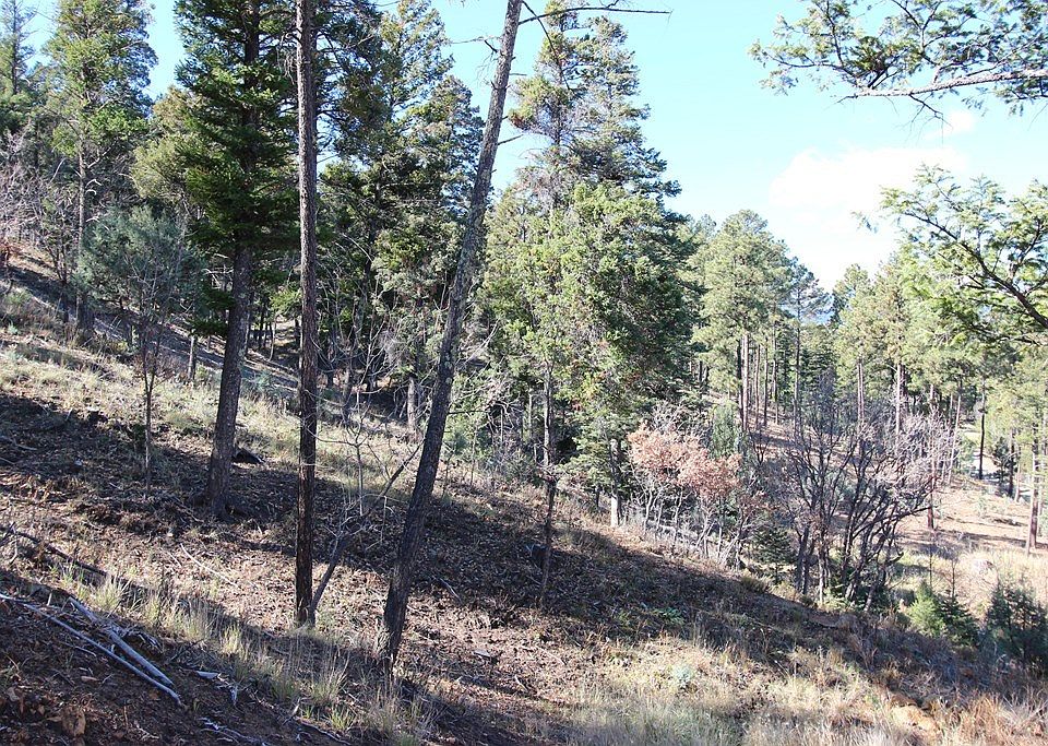205 Sunrise Ct, Ruidoso, NM 88345 Zillow