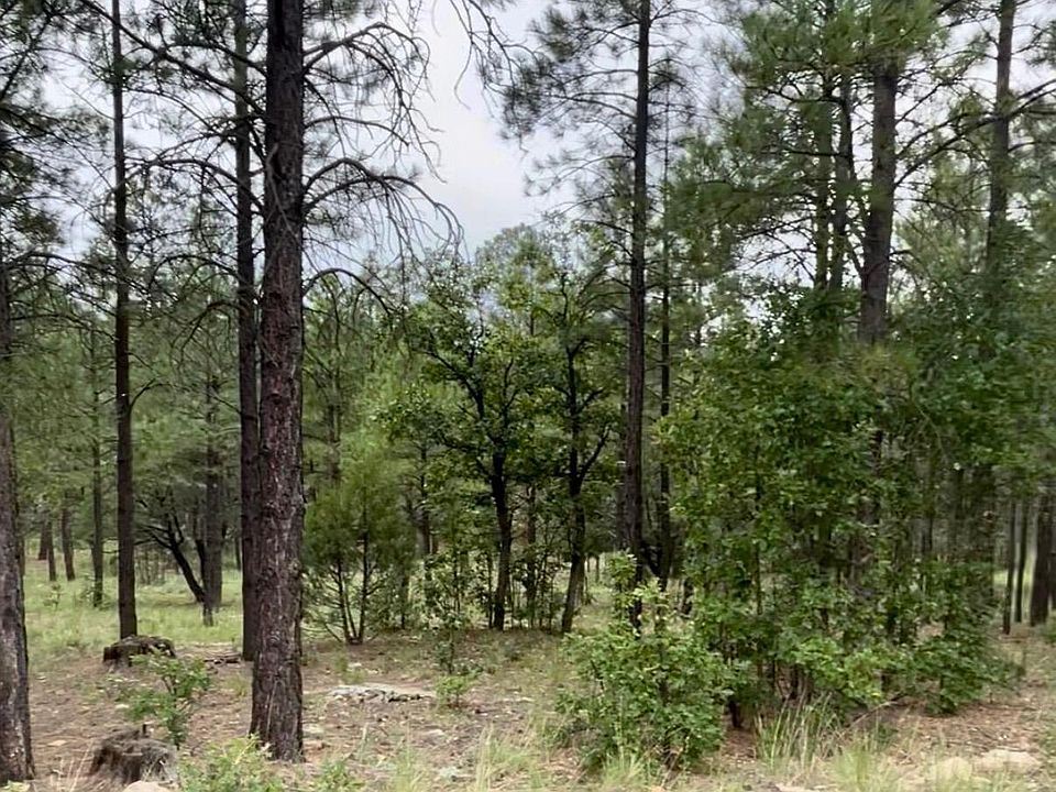 1st image of 3174 Apache Dr