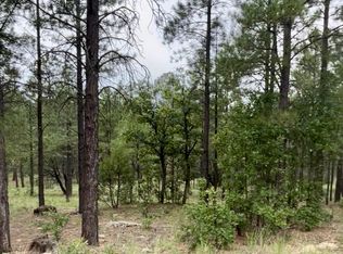 3174 Apache Dr, Happy Jack, AZ 86024