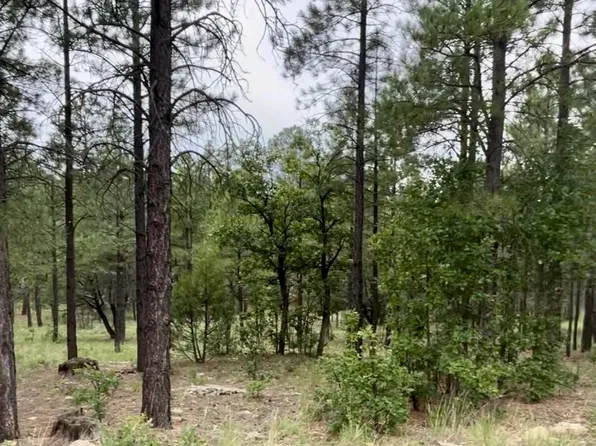 3174 Apache Dr, Happy Jack, AZ 86024