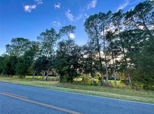 NE County Road 343 LOT 3, Bronson, FL 32621