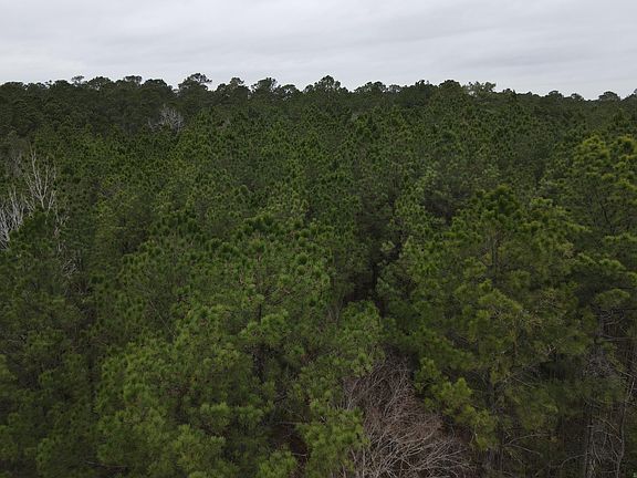 3rd image of (Undisclosed Address)