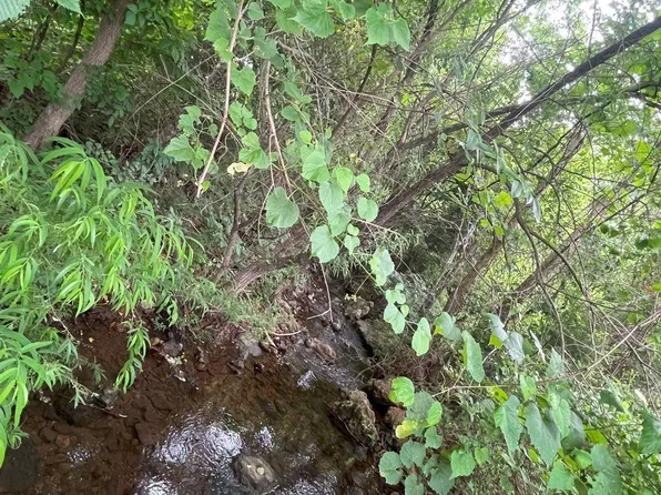 2 Silverthorne Cir #5, Mountain Home, AR 72653