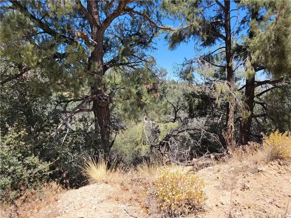 0 Oak Springs Valley Rd, Wrightwood, CA 92397