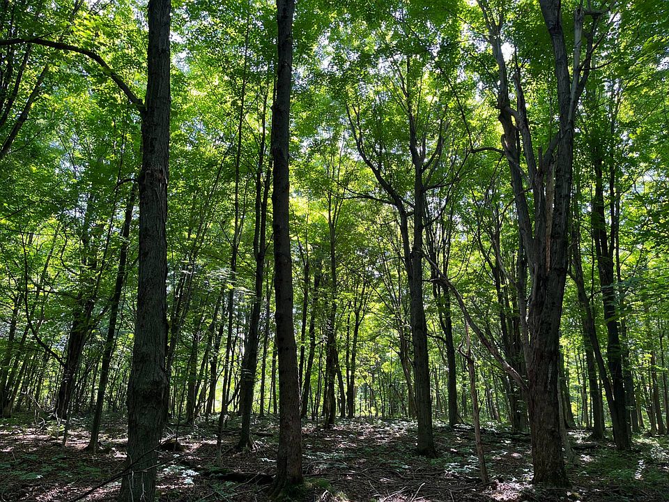 0 Morley Potsdam Rd LOT 6, Canton, NY 13617 MLS 11201979 Zillow
