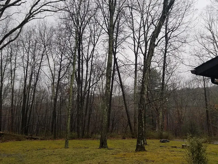 204 Sellersville Dr — Photo 14