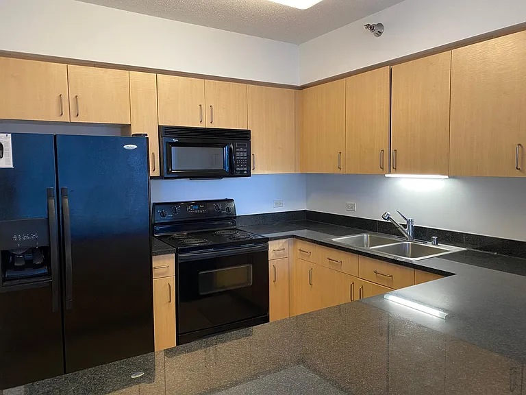 512 N McClurg Ct #1303 — Photo 9