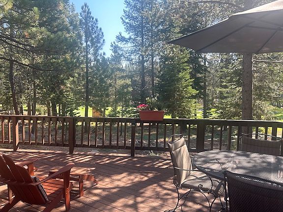 Back yard views