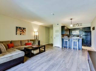 620 S 1st St APT 313, Austin, TX 78704