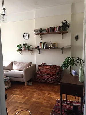 Rented by Rapid Realty Cobble Hill | media 35