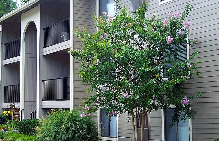 Tuckahoe Creek Apartments — Photo 23