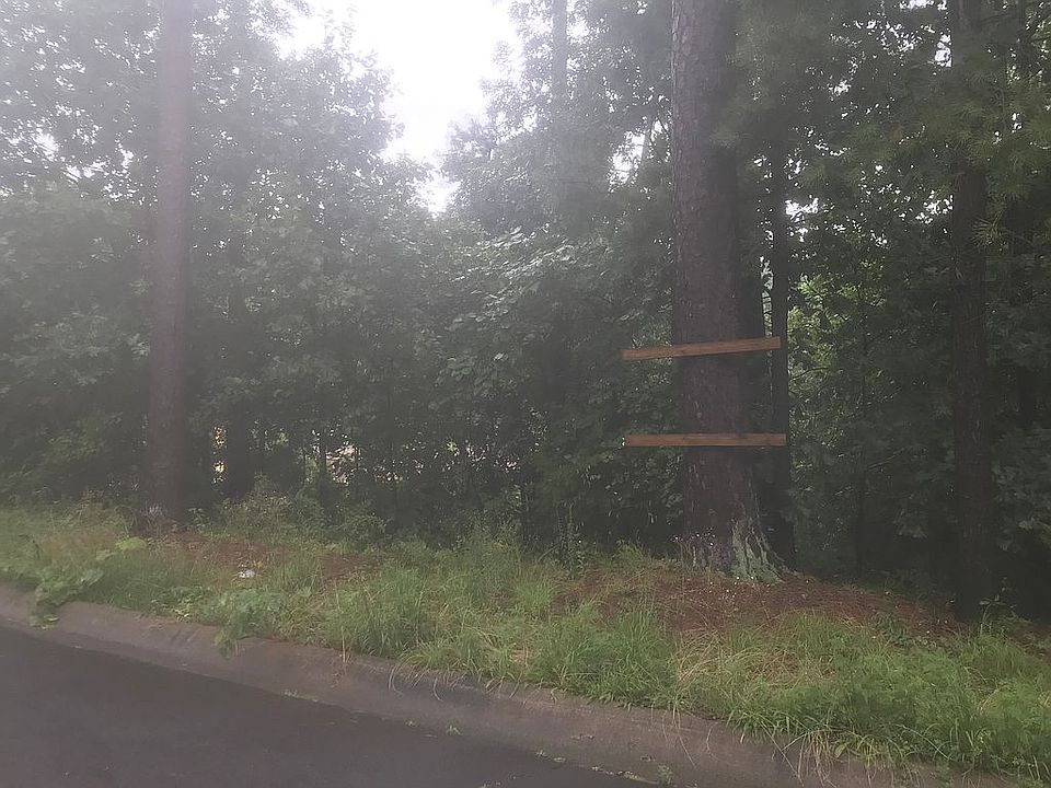 2nd image of Westport Loop