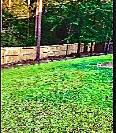 3rd image of 110 Alicia Dr