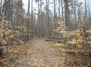 Melvindale Camp Rd, Johannesburg, MI 49751