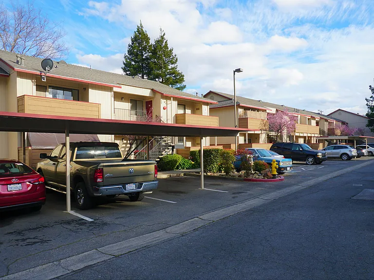 Plumwood Apartments — Photo 9
