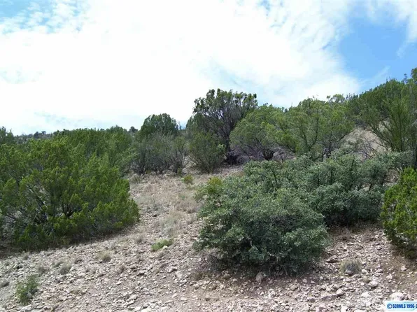 282 Caballo Blanco Lot 34, Mimbres, NM 88049