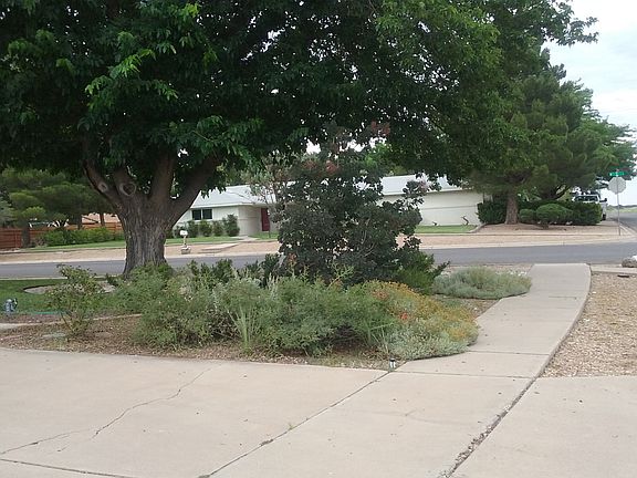 FRONT FLORA SOUTH VIEW