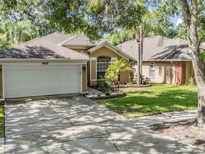5650 Paddock Trail Dr, Tampa, FL, 33624