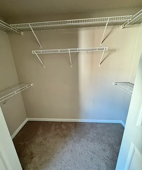 Primary bedroom closet