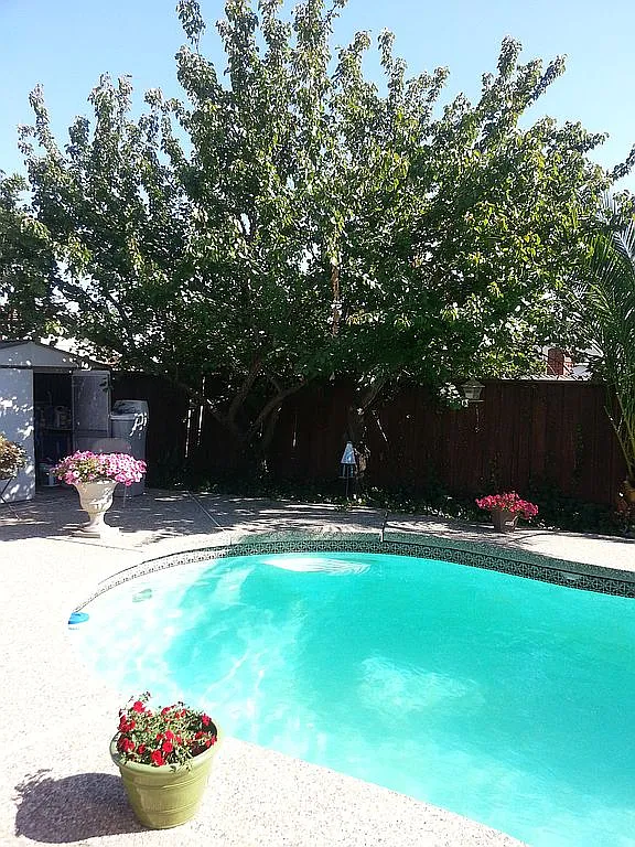 328 Appian Way photo 1