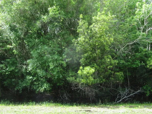 416 Racoon Ln, Lorida, FL 33857