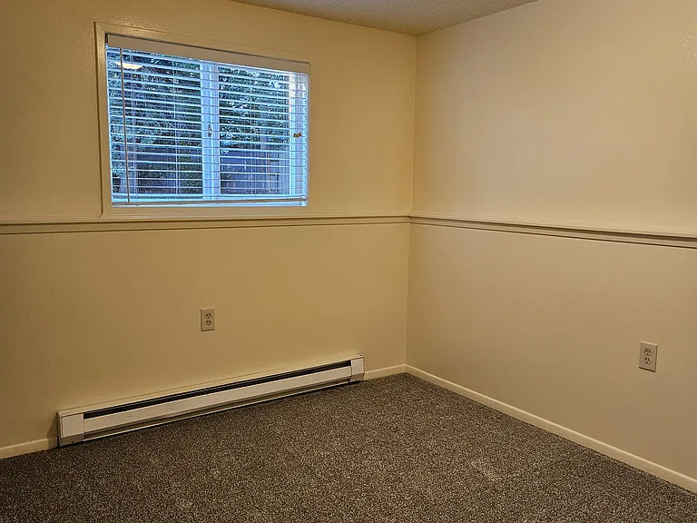 Back Bedroom