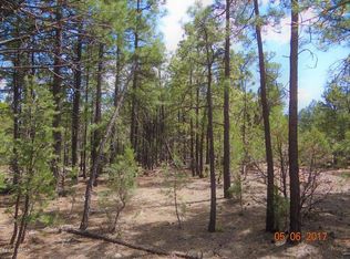 2771 Westfork Ln, Overgaard, AZ 85933