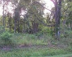1st image of LOT 3 Westfield Dr