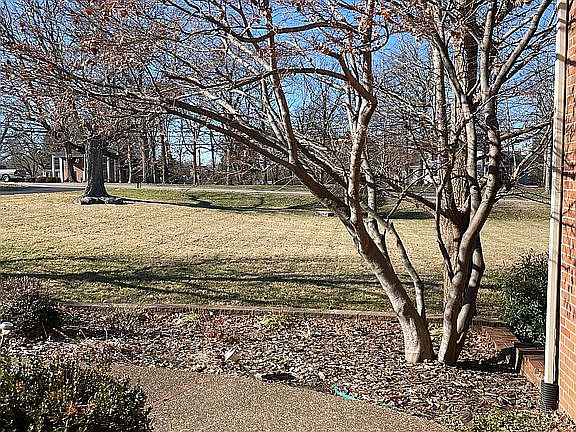View from front porch 