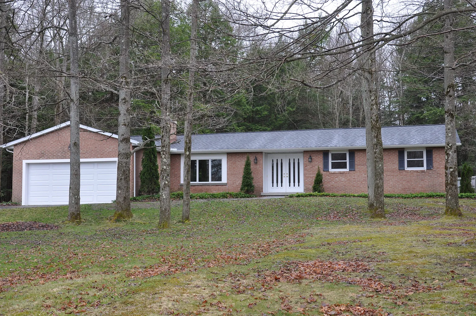 12050 Skyview Dr photo 1