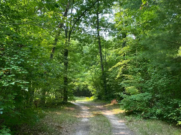 9190 N Ferris Ave, Bitely, MI 49309