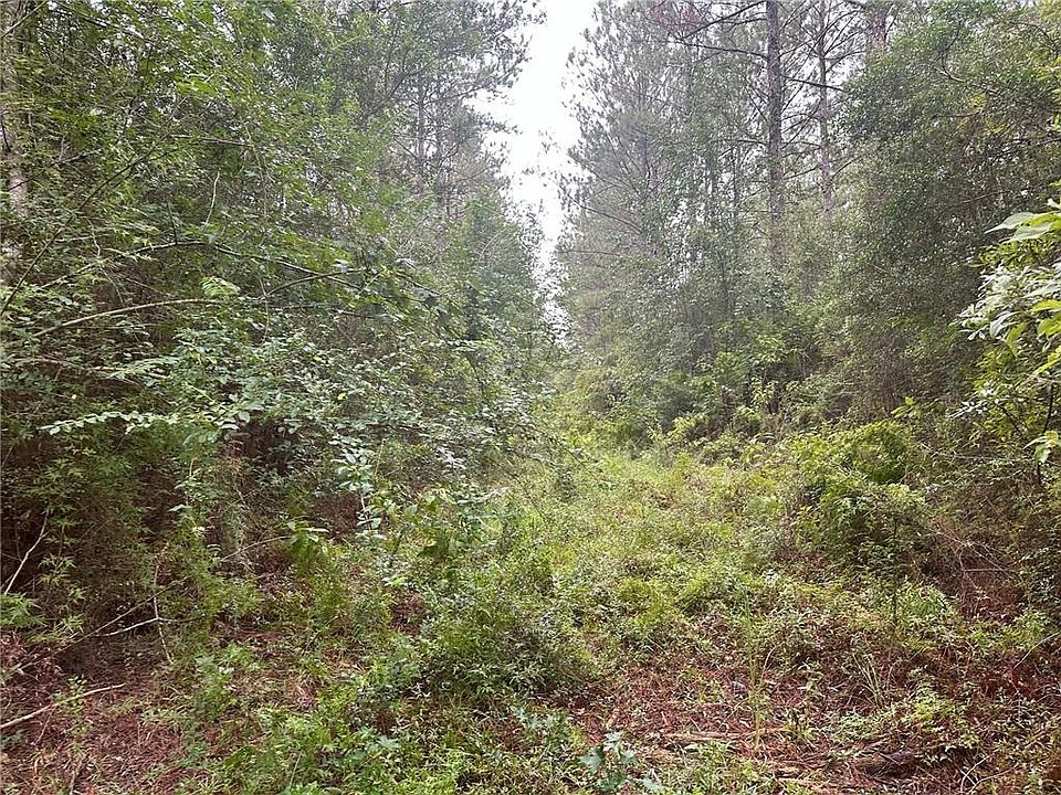 2nd image of Lee Rd