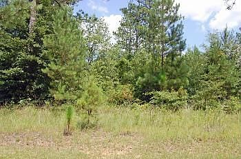 1st image of 35 Bridgefield Ct Lot D