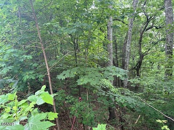 5th image of 2808 Grist Mill Ln Lot 115R