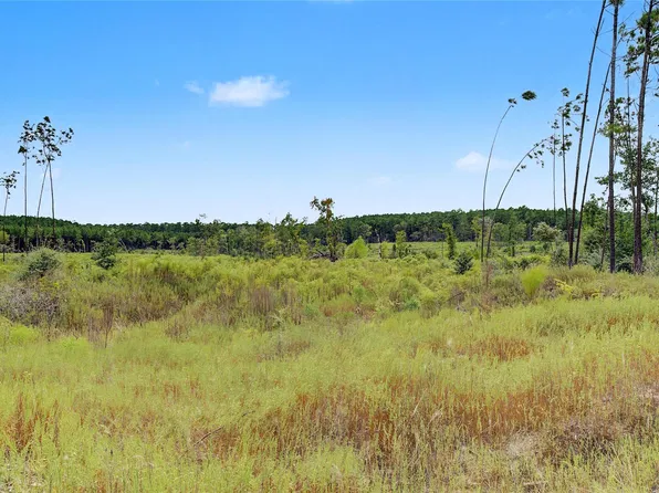 Tbd Fm 980, Huntsville, TX 77340