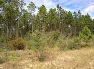 Joe Dugger Rd, Freeport, FL 32439