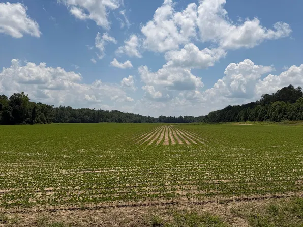 Pine Top Rd, Hornsby, TN 38044